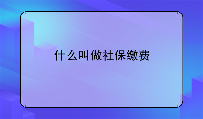 什么叫做社保缴费