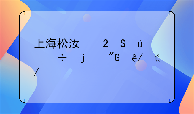 上海松江区比较好的刑事律师