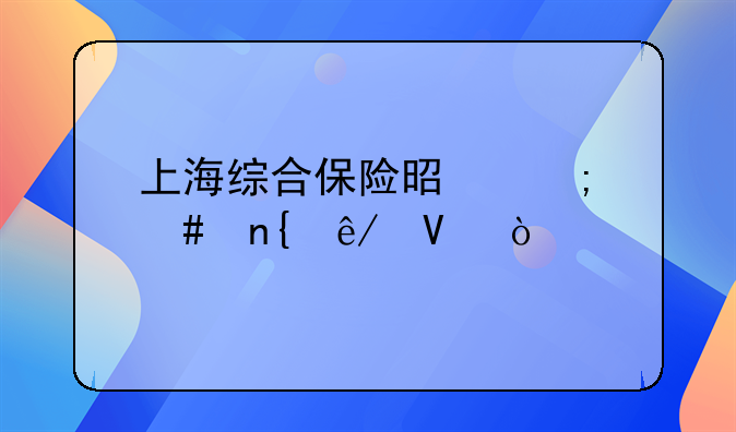 上海综合保险是怎么回事啊？