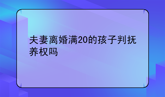 夫妻离婚满20的孩子判抚养权吗