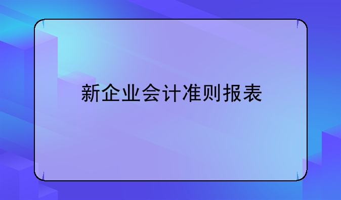 新企业会计准则报表