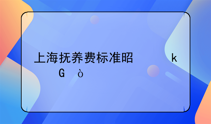上海抚养费标准是多少？