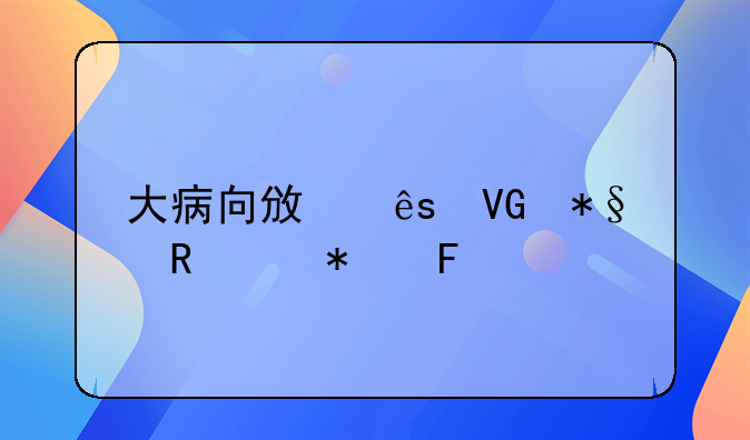 大病向政府救助申请报告