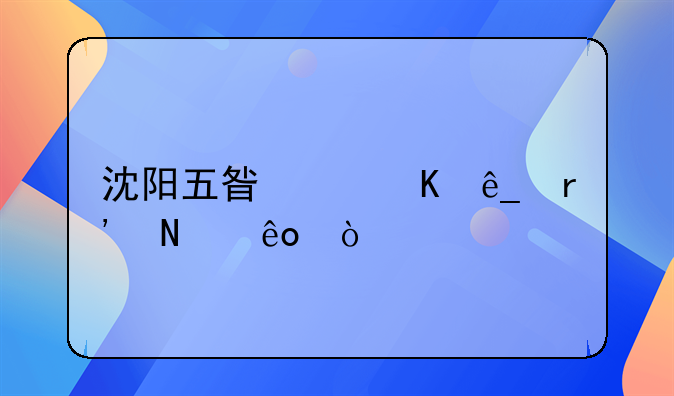 沈阳五星级酒店有哪些？