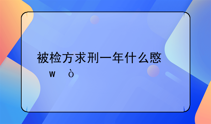 被检方求刑一年什么意思？