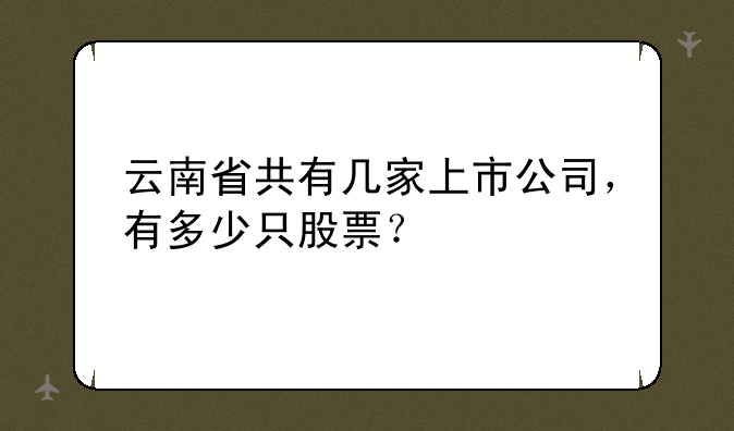 云南省共有几家上市公司，有多少只股票？