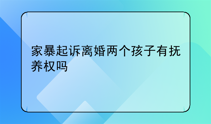 家暴起诉离婚两个孩子有抚养权吗