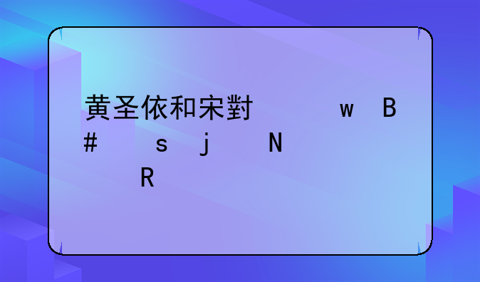 黄圣依和宋小宝合作的哪部电视剧
