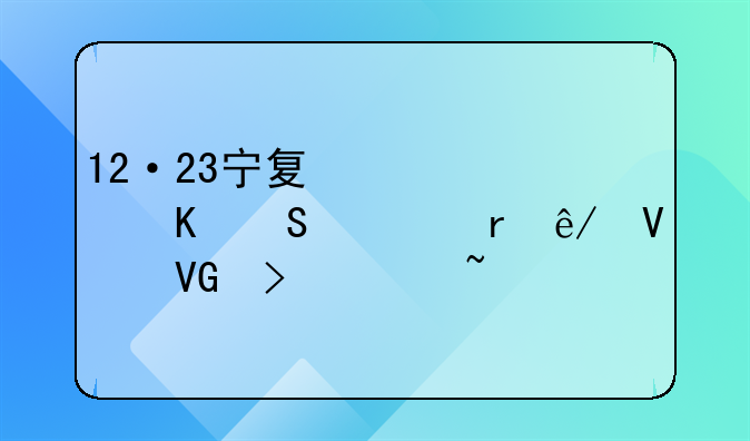 12·23宁夏中宁毒气泄露事故救援调查