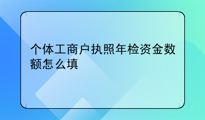 个体工商户执照年检资金数额怎么填