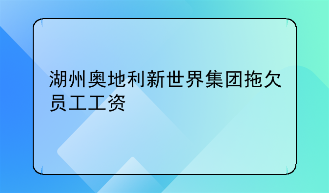 湖州奥地利新世界集团拖欠员工工资