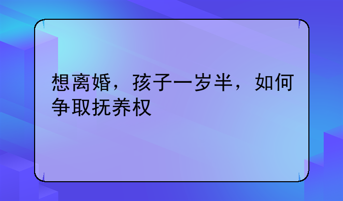 想离婚，孩子一岁半，如何争取抚养权