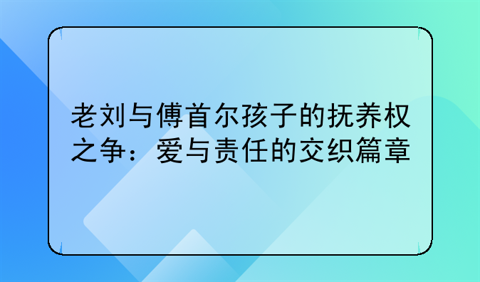 老刘与傅首尔孩子的抚养权之争：爱与责任的交织篇章