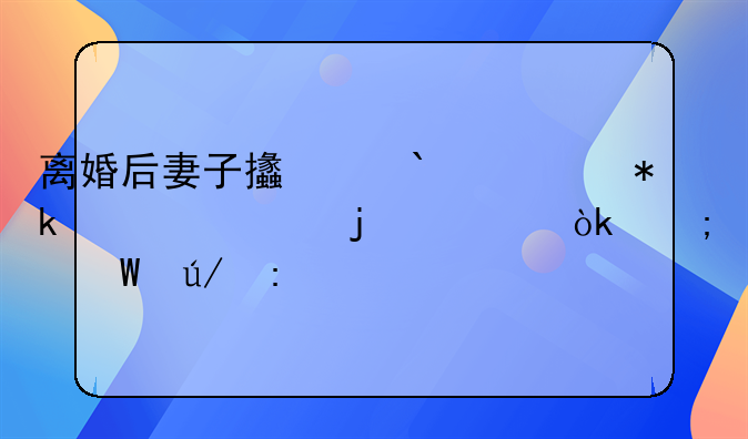 离婚后妻子支付30万抚养费的社会与法律探讨