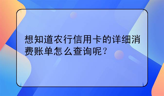想知道农行信用卡的详细消费账单怎么查询呢？