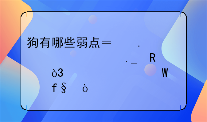 狗有哪些弱点？若被流浪狗攻击，该如何脱险？