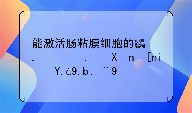 能激活肠粘膜细胞的鸟苷酸环化酶是什么肠毒素