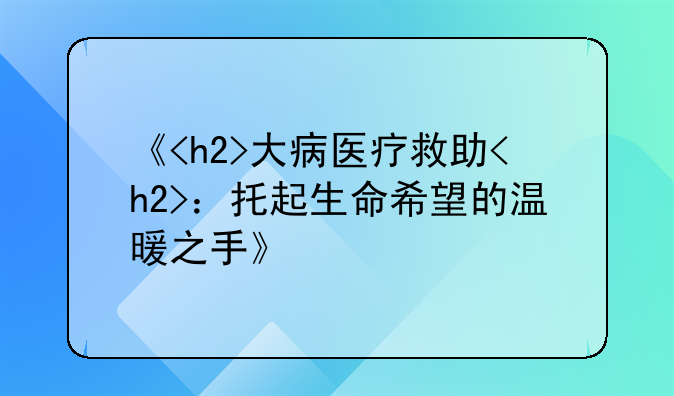 《<h2>大病医疗救助<h2>：托起生命希望的温暖之手》