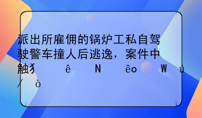 派出所雇佣的锅炉工私自驾驶警车撞人后逃逸，案件中触犯了哪些法律？