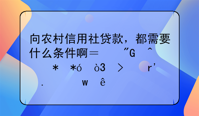向农村信用社贷款，都需要什么条件啊？我无抵押，只有担保人。能贷吗？