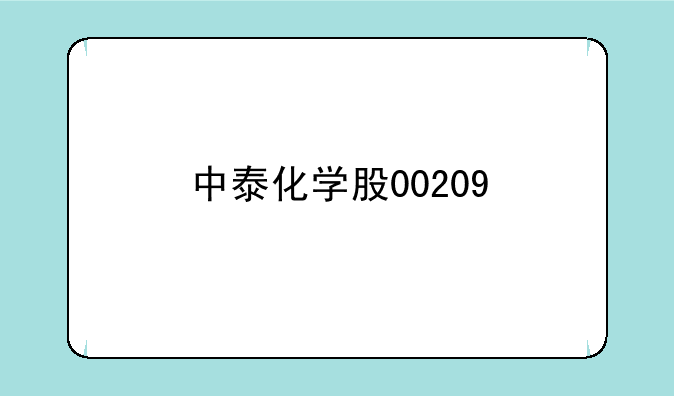 中泰化学股00209