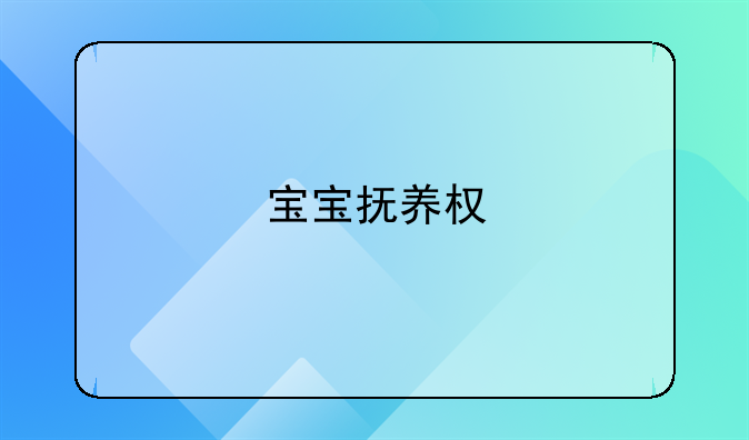 宝宝抚养权