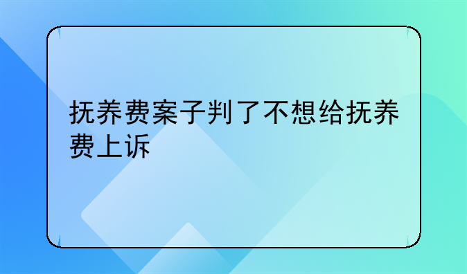 抚养费案子判了不想给抚养费上诉